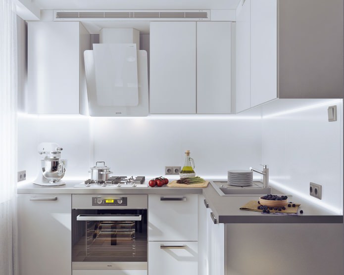 cocina en un apartamento de dos habitaciones 50 metros