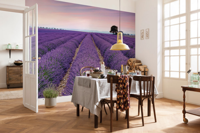 Fotomural con campos de lavanda