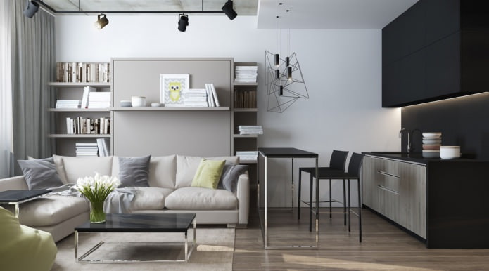 Diseño moderno de una sala de estar combinada con una cocina en un estudio.