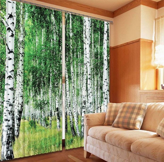 Cortinas 3d con la imagen de un bosque de abedules