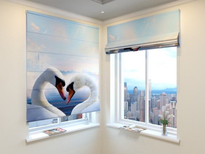 cortinas romanas con impresión fotográfica