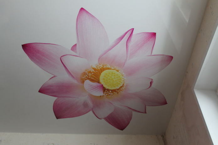 mag-inat ng canvas na may imahe ng isang lotus