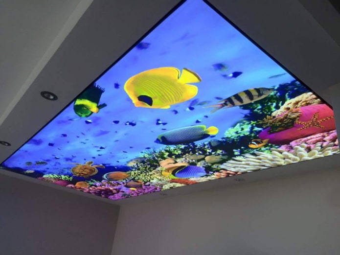 techo con impresión fotográfica 3D imitando un acuario