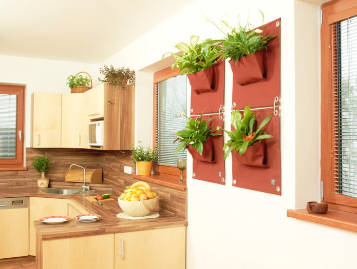 Plantas en la pared del interior de la cocina.