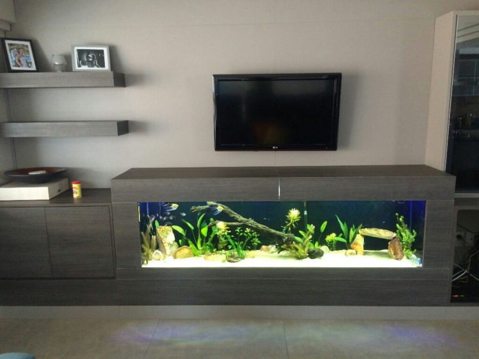 TV de pared con un acuario en el interior.