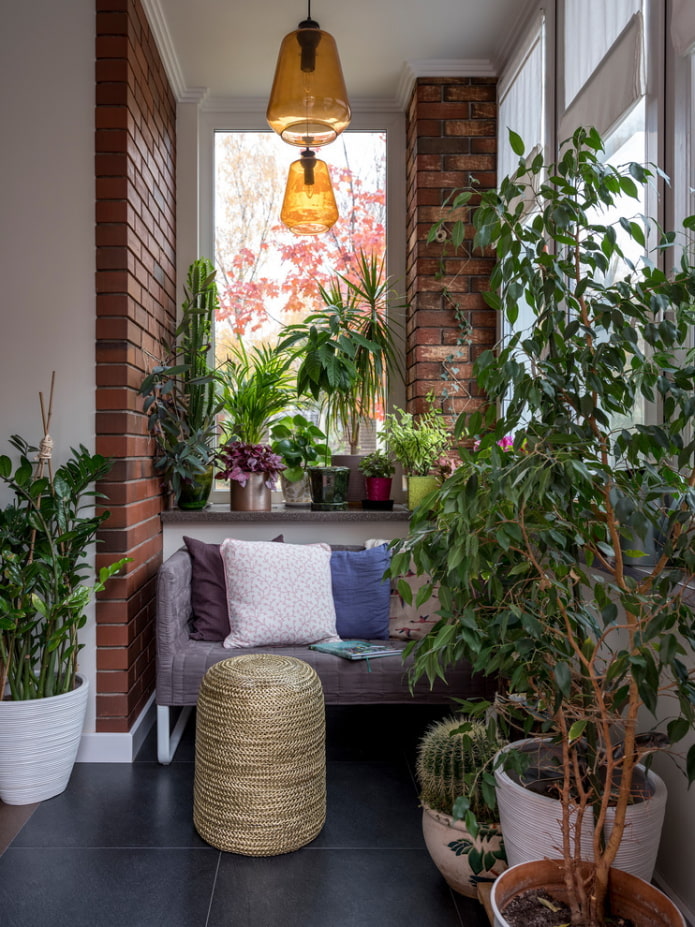 Plantas de interior y ladrillos rojos