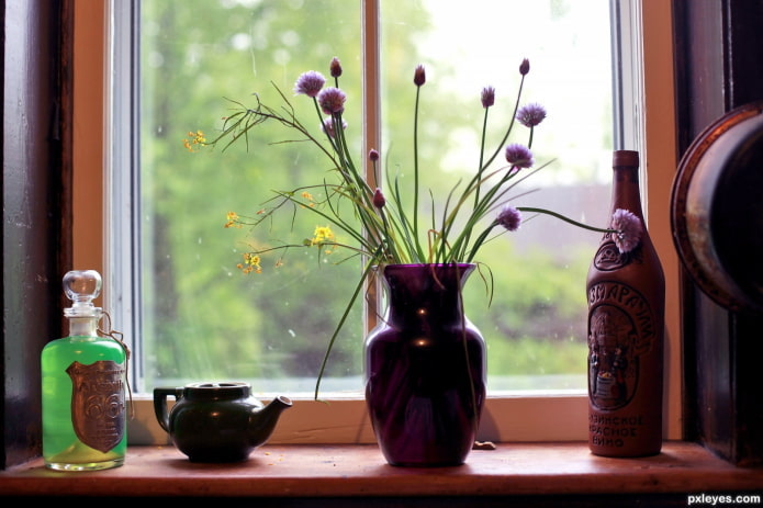 Florero y botella de vino