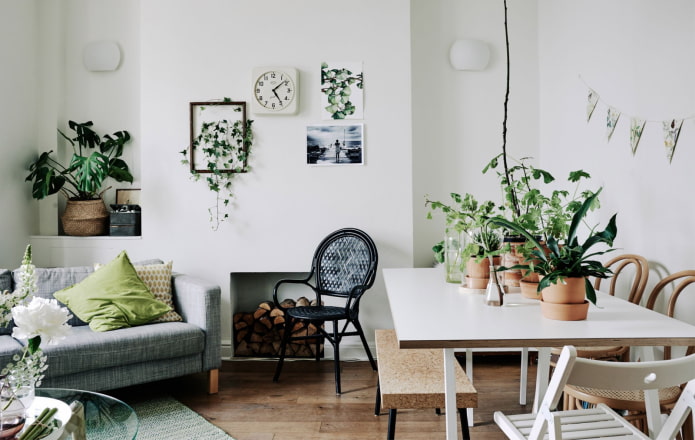 Plantas en el interior