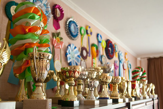 Copas y medallas en el interior