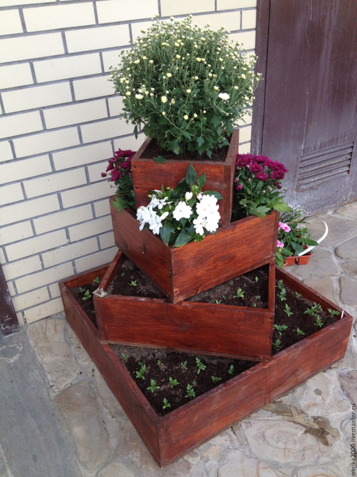 macizo de flores de cajas