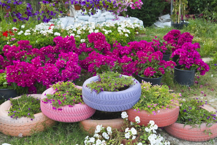 llantas de colores en el jardín