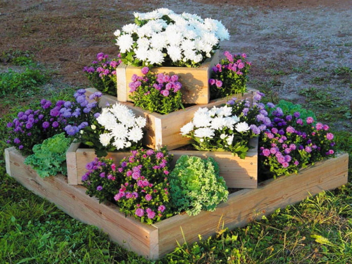 jardín de flores en una cama de flores