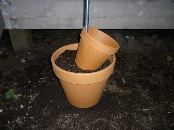 Dos macetas para un macizo de flores.