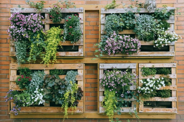 Macizos de flores verticales en la valla