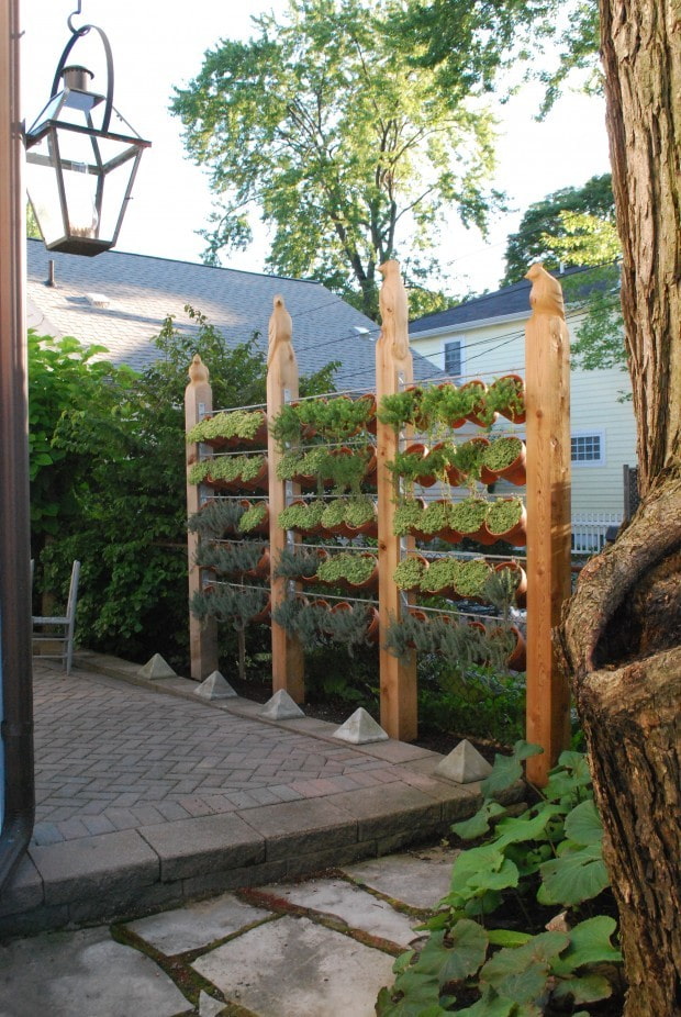 Pantalla de plantas en macetas