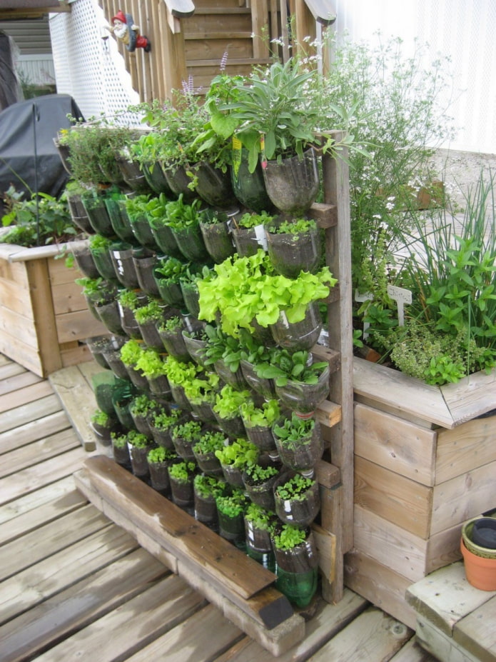 Rack de botellas para flores