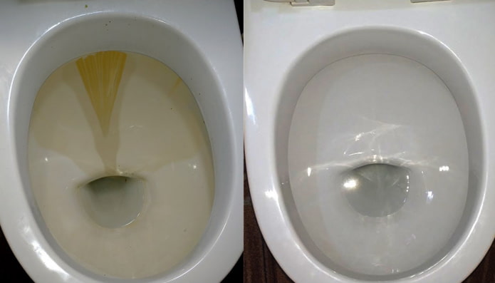 Toilet bago at pagkatapos maglinis kasama ng Domestos