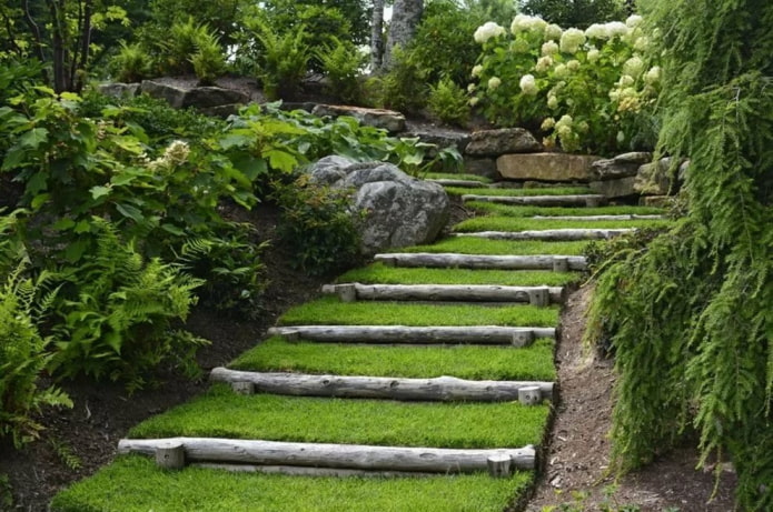 escaleras de troncos