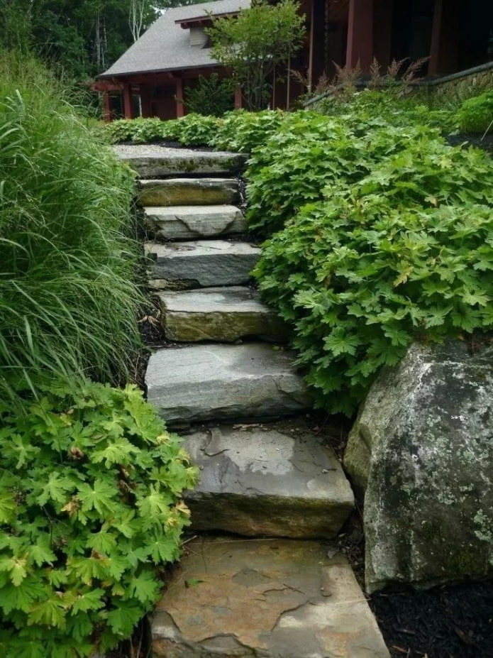 escalera de piedra en el jardín