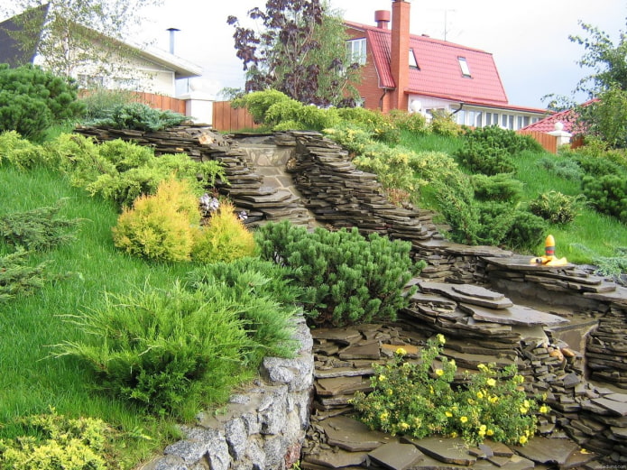 plantas de ladera