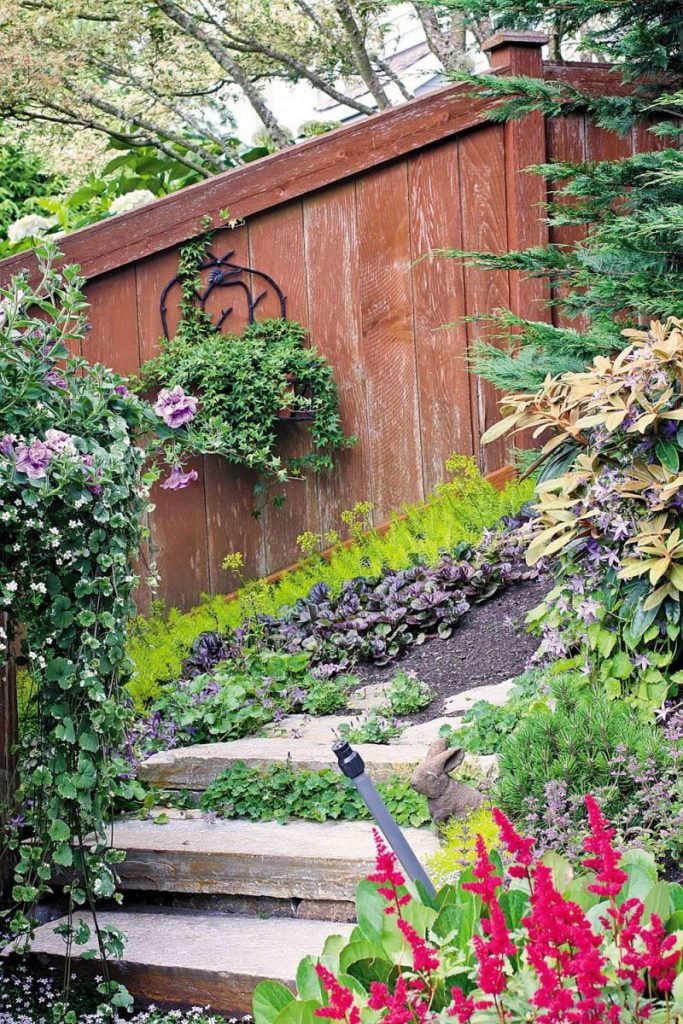 plantas a lo largo de las escaleras