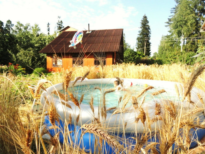 Piscina en el campo