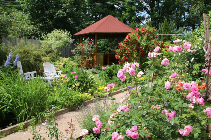 Gazebo at mga rosas