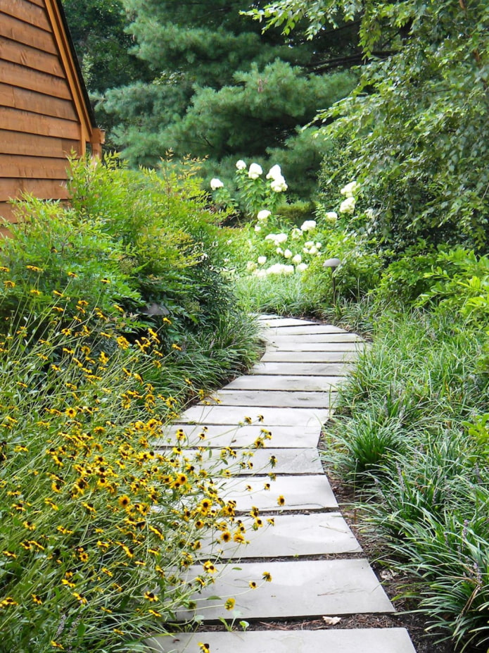 Camino sinuoso del jardín