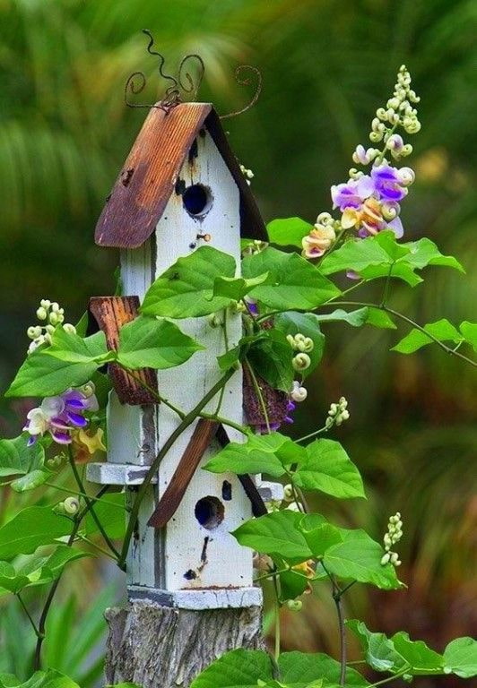 Pandekorasyon na birdhouse