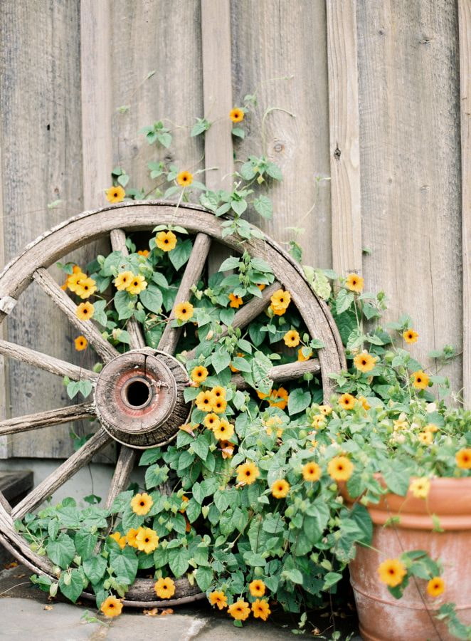 Rueda con flores