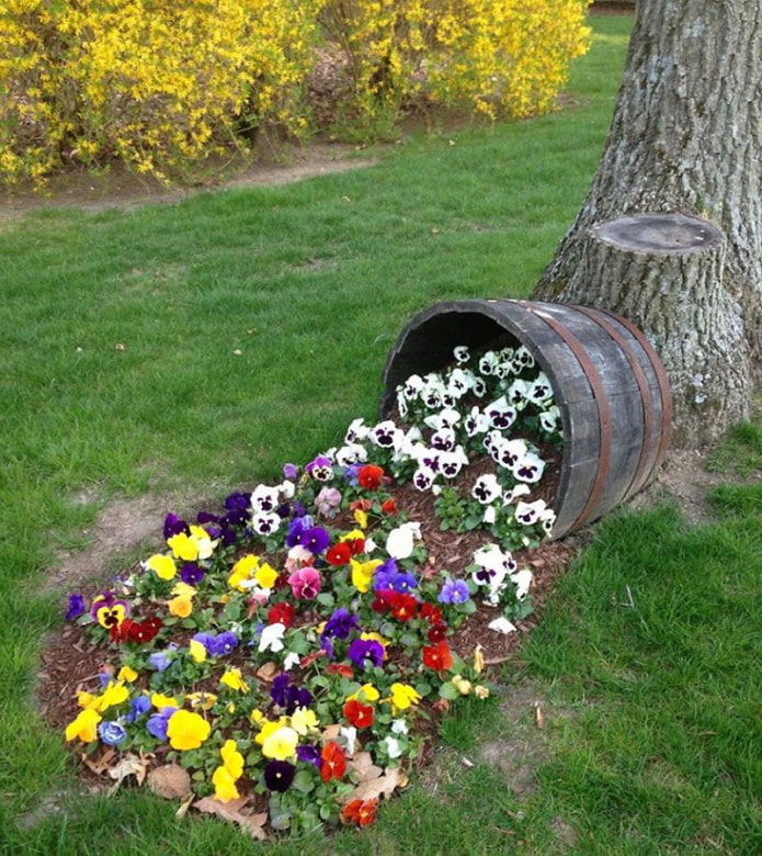 Macizo de flores de un barril