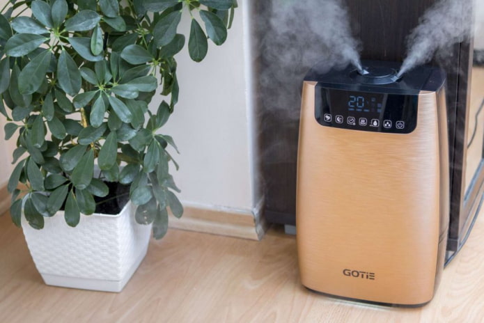 Humidifier at air purifier