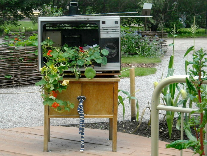 Un macizo de flores de un televisor viejo.