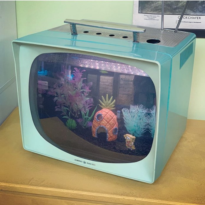 acuario elegante de un televisor antiguo