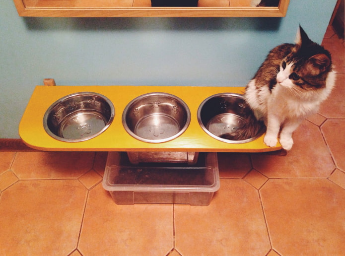 bowls para sa pusa