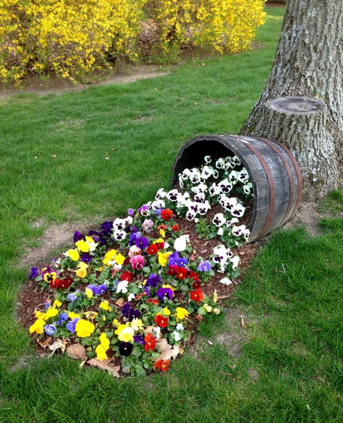 Cama de flores inusual en el sitio.