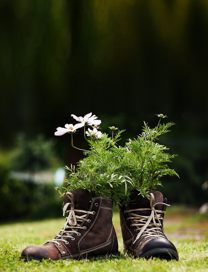 flores en los zapatos