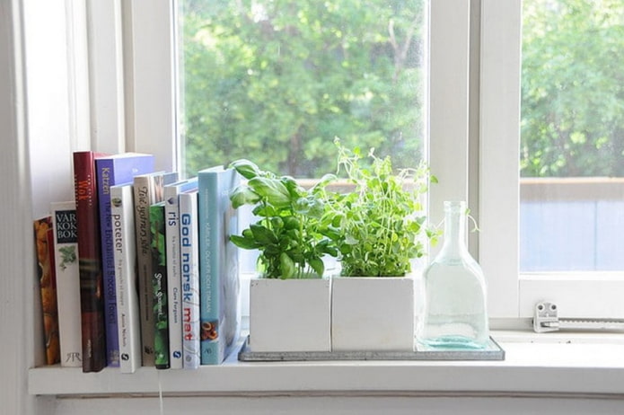 mga libro at halaman sa windowsill