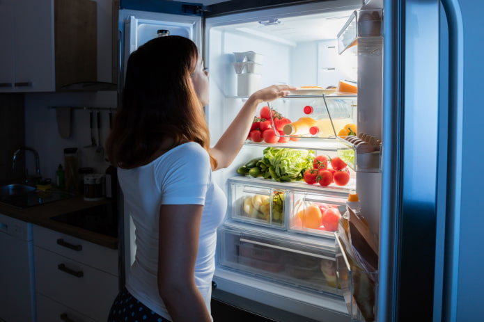 refrigerador de dos puertas