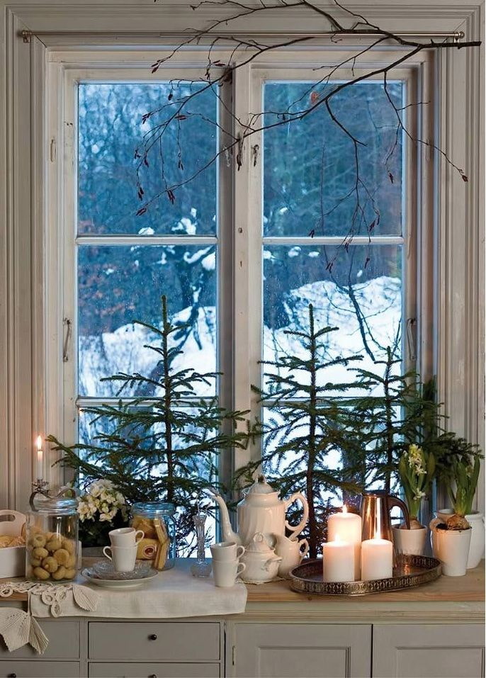 Árboles de Navidad vivos en el alféizar de la ventana