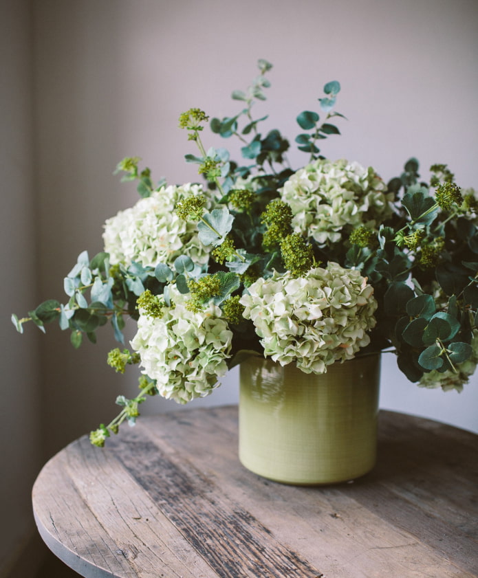 hindi likas na hydrangea