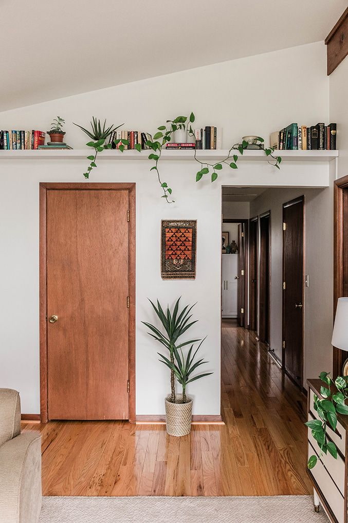 Plantas en un estante debajo del techo.