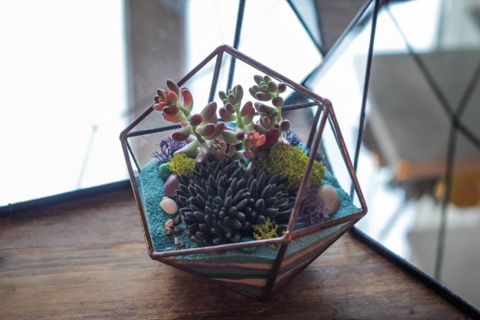 florarium para sa mga succulents