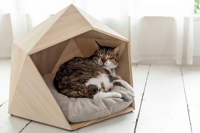 cama para gatos