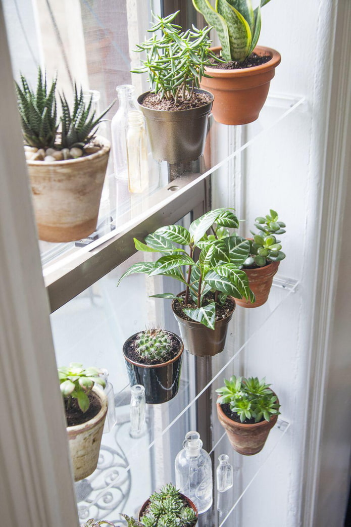 estantes en la ventana para flores