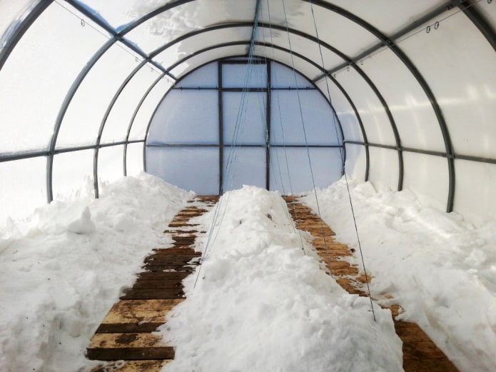 Camas de invernadero en la nieve.