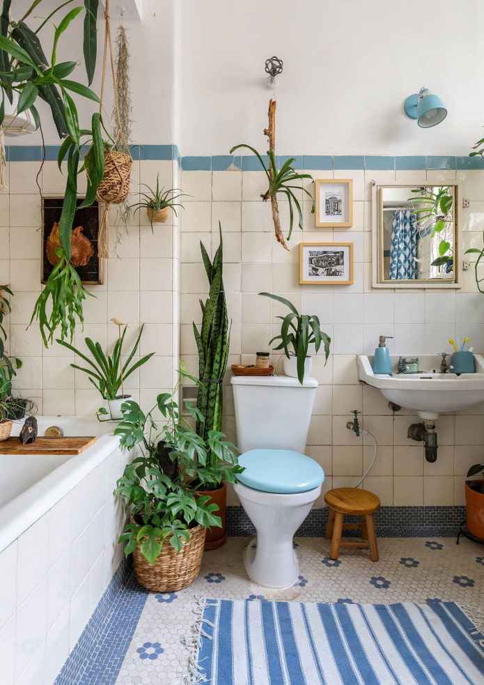 Plantas en un baño con ventana.