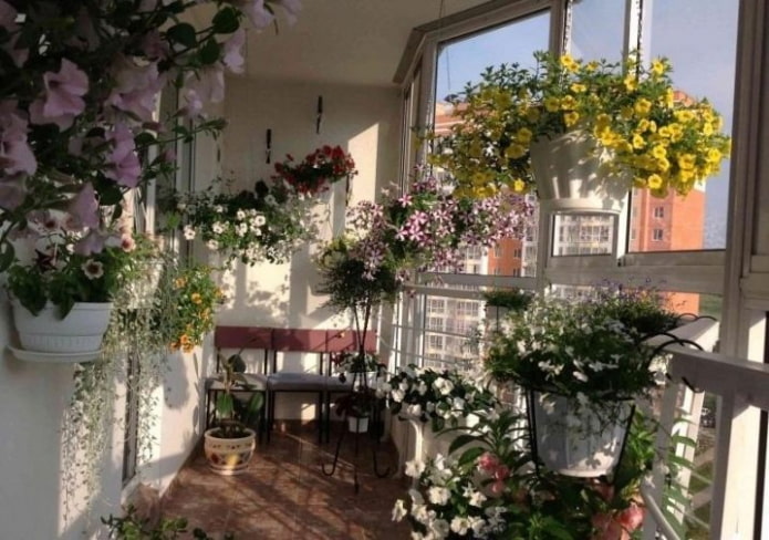 flores en el balcon