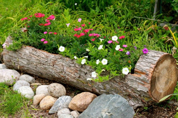 Macizo de flores en la terraza