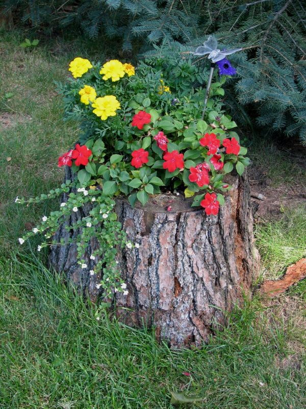 Flores en el tocón de un árbol